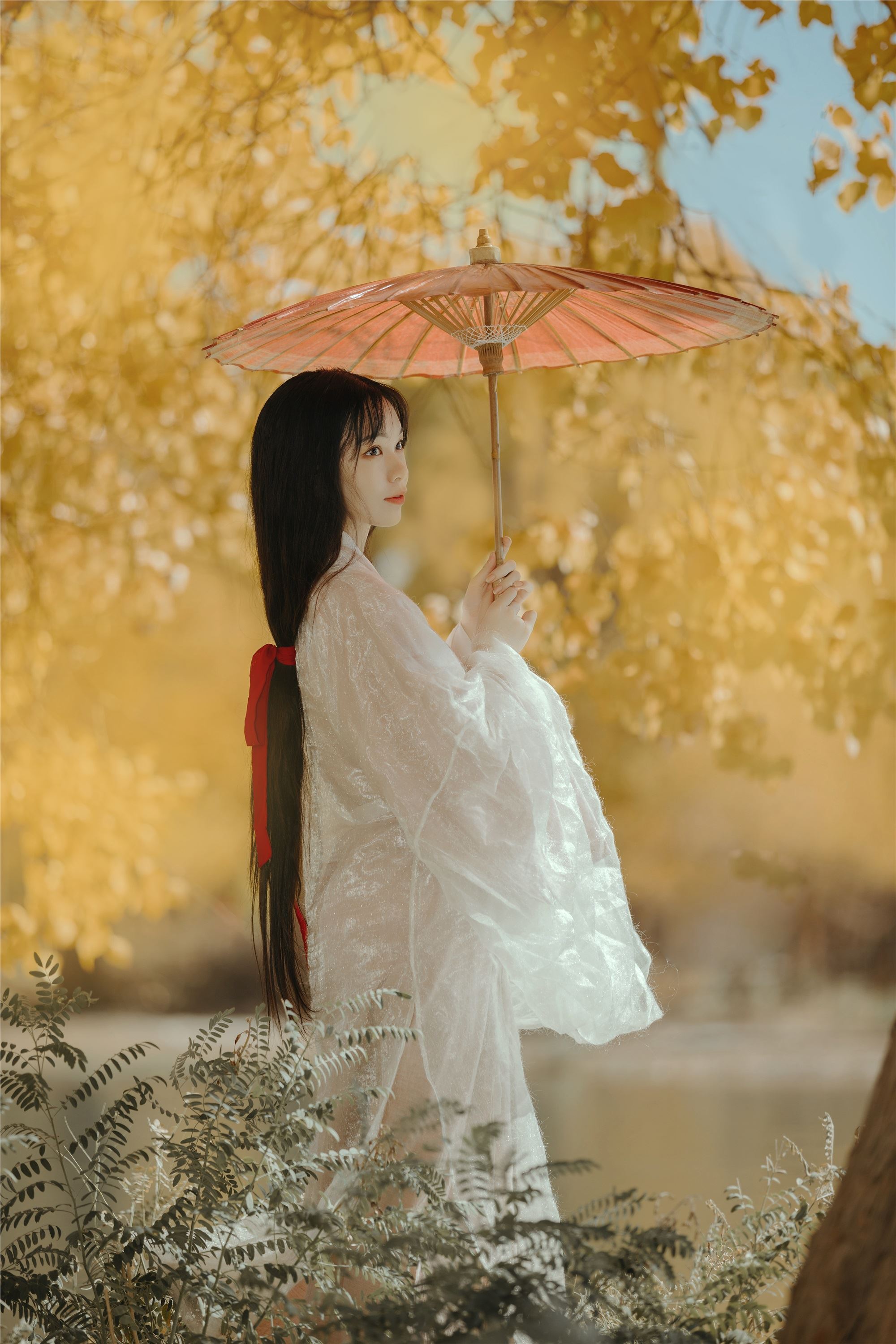 YITUYU艺图语 2021.08.16 蒹葭 薄荷